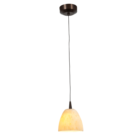 A large image of the Access Lighting 72942LED Bronze / Amber Marble