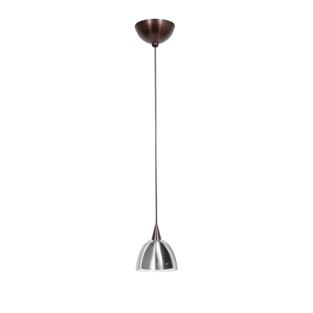 A large image of the Access Lighting 90021 Bronze / Clear