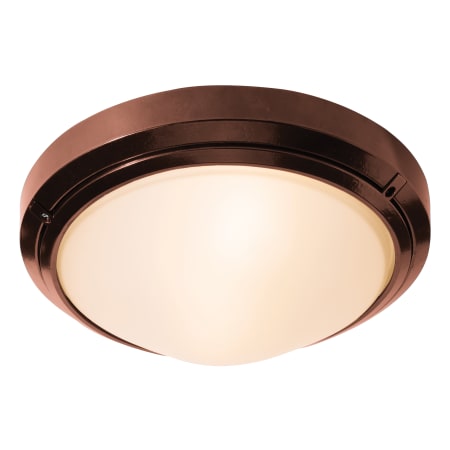A large image of the Access Lighting 20355-CFL Bronze / Frosted
