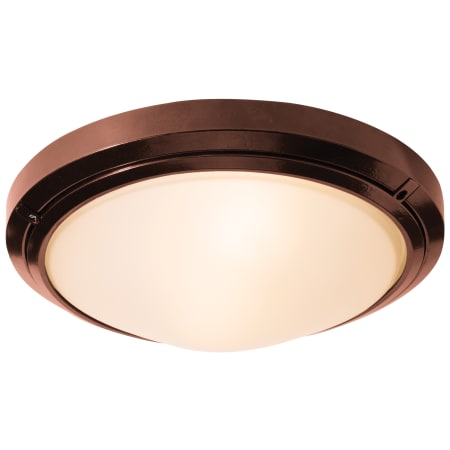 A large image of the Access Lighting 20356-CFL Bronze / Frosted
