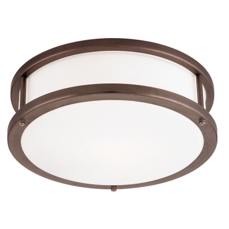 A large image of the Access Lighting 50080-CFL Bronze / Opal