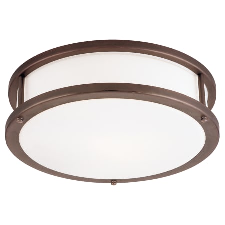 A large image of the Access Lighting 50081-CFL Bronze / Opal