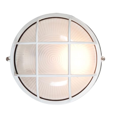 A large image of the Access Lighting 20294 White / Frosted