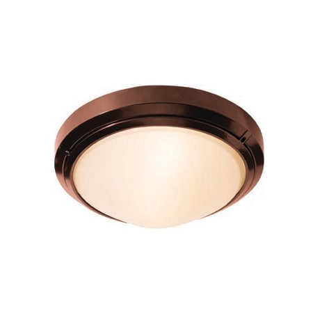 A large image of the Access Lighting 20355 Bronze / Frosted