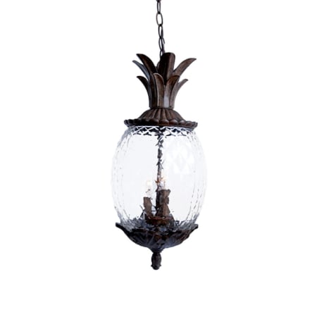 A large image of the Acclaim Lighting 7516 Black Coral