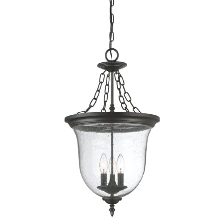 A large image of the Acclaim Lighting 9316 Matte Black