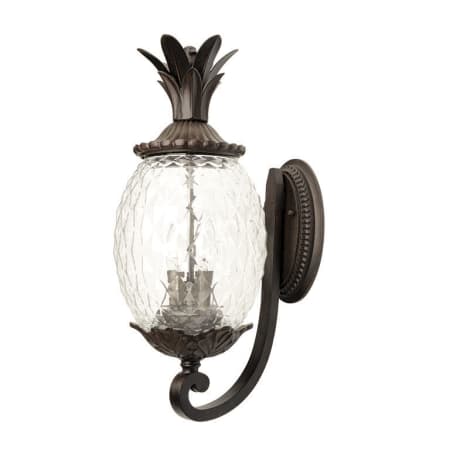 A large image of the Acclaim Lighting 7501 Black Coral