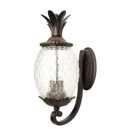 A large image of the Acclaim Lighting 7511 Black Coral