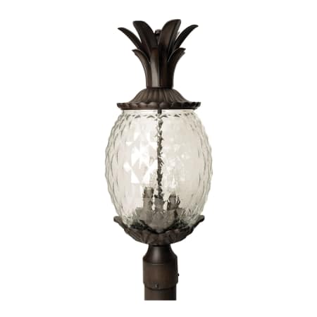 A large image of the Acclaim Lighting 7517 Black Coral