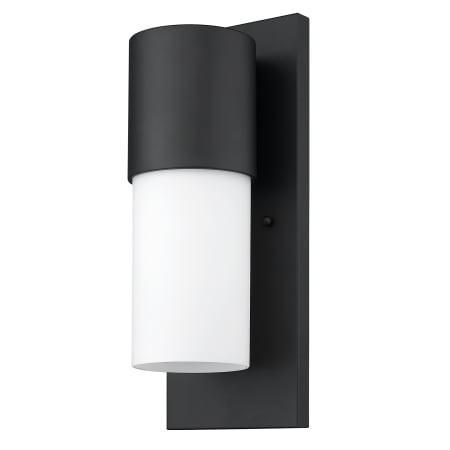 A large image of the Acclaim Lighting 1511 Matte Black
