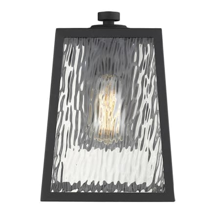 A large image of the Acclaim Lighting 1612 Light On