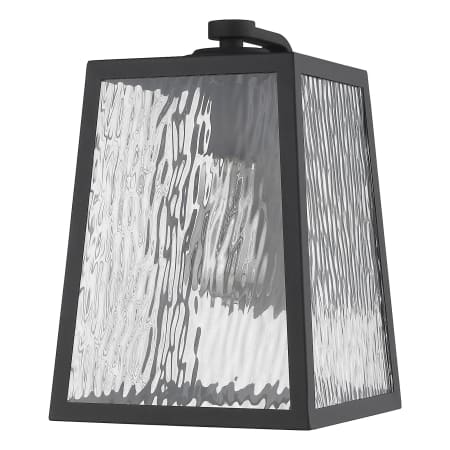 A large image of the Acclaim Lighting 1612 Matte Black