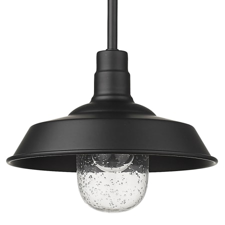 A large image of the Acclaim Lighting 1736 Matte Black