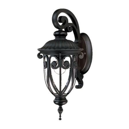A large image of the Acclaim Lighting 2102 Matte Black