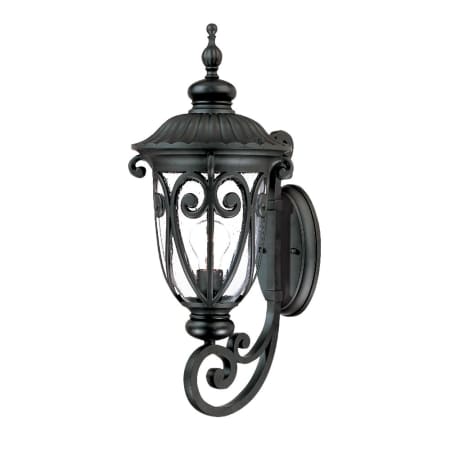 A large image of the Acclaim Lighting 2111 Matte Black