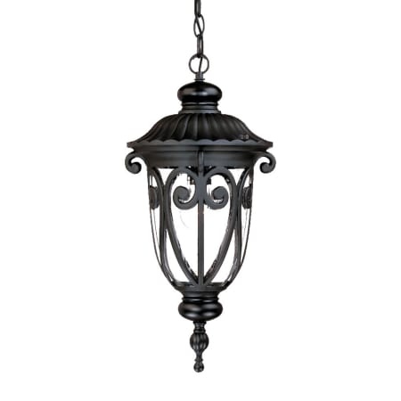 A large image of the Acclaim Lighting 2116 Matte Black