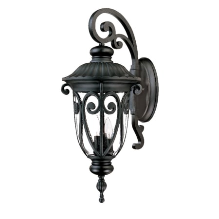 A large image of the Acclaim Lighting 2122 Matte Black