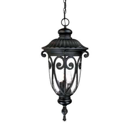 A large image of the Acclaim Lighting 2126 Matte Black