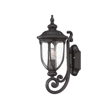 A large image of the Acclaim Lighting 2201 Black Coral