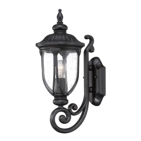 A large image of the Acclaim Lighting 2201 Matte Black