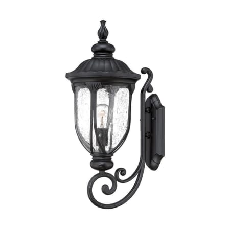 A large image of the Acclaim Lighting 2211 Matte Black