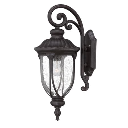A large image of the Acclaim Lighting 2212 Black Coral