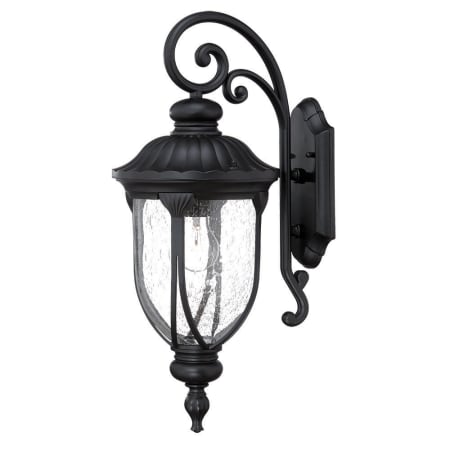 A large image of the Acclaim Lighting 2212 Matte Black