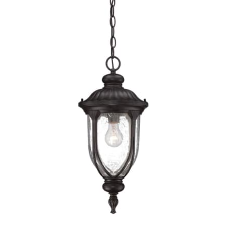 A large image of the Acclaim Lighting 2216 Black Coral