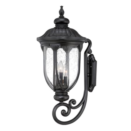 A large image of the Acclaim Lighting 2221 Matte Black