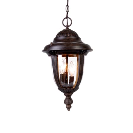 A large image of the Acclaim Lighting 3526 Black Coral / Clear Seeded Glass