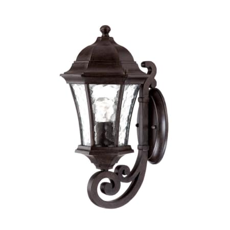 A large image of the Acclaim Lighting 3601 Black Coral