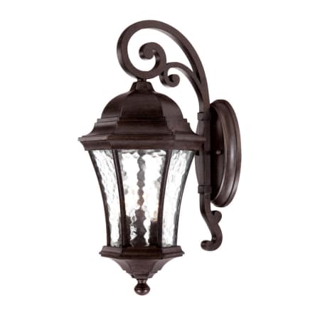 A large image of the Acclaim Lighting 3612 Black Coral