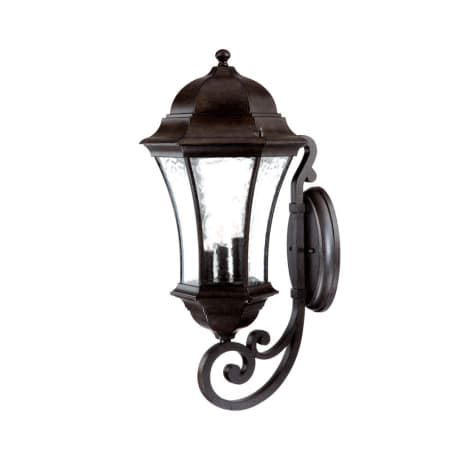 A large image of the Acclaim Lighting 3621 Black Coral