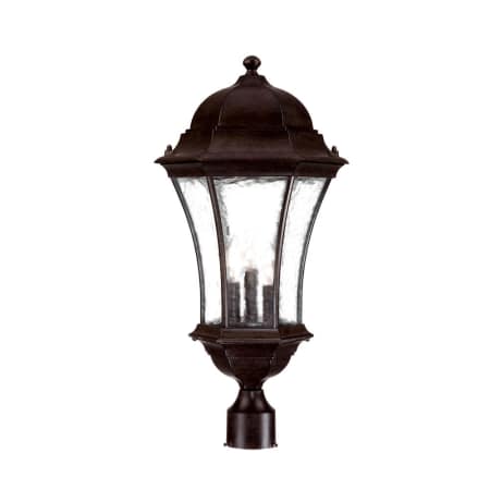 A large image of the Acclaim Lighting 3627 Black Coral