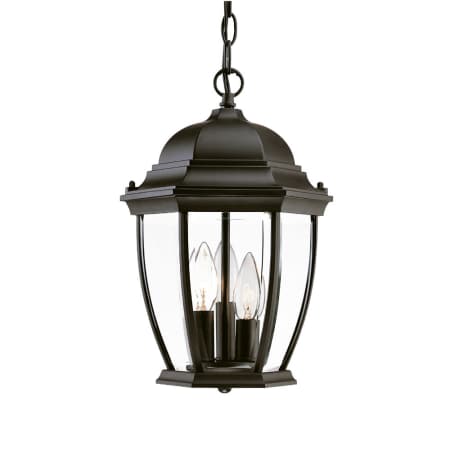 A large image of the Acclaim Lighting 5036 Matte Black