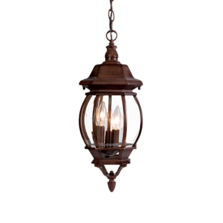 A large image of the Acclaim Lighting 5160 Burled Walnut / Clear Beveled Glass