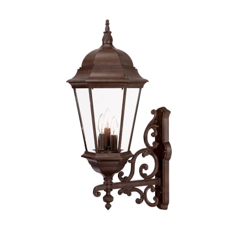 A large image of the Acclaim Lighting 5221 Burled Walnut / Clear Beveled Glass