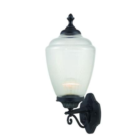 A large image of the Acclaim Lighting 5361 Matte Black with Clear Glass
