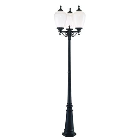 A large image of the Acclaim Lighting 5369 Matte Black with White Glass