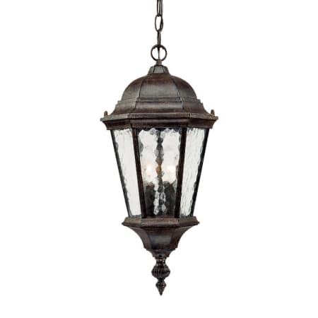 A large image of the Acclaim Lighting 5516 Black Coral