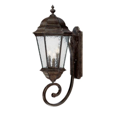 A large image of the Acclaim Lighting 5521 Black Coral