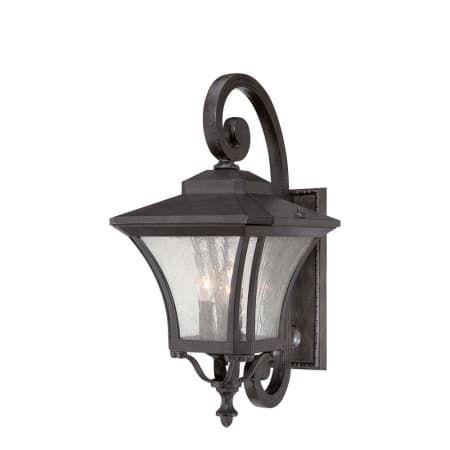A large image of the Acclaim Lighting 6022 Black Coral