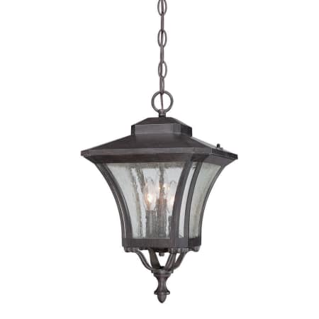 A large image of the Acclaim Lighting 6026 Black Coral