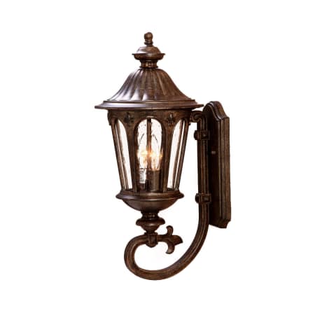 A large image of the Acclaim Lighting 61551 Black Coral