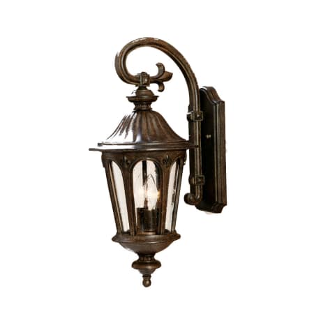A large image of the Acclaim Lighting 61552 Black Coral