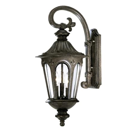 A large image of the Acclaim Lighting 61562 Black Coral