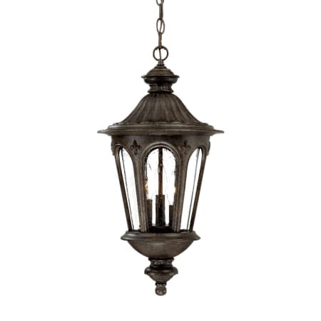 A large image of the Acclaim Lighting 61566 Black Coral