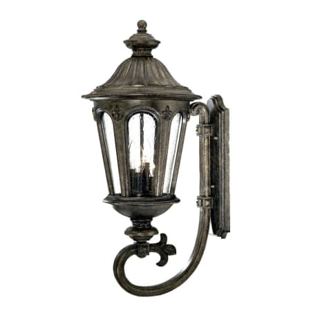 A large image of the Acclaim Lighting 61571 Black Coral