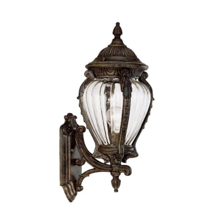 A large image of the Acclaim Lighting 7002 Black Coral