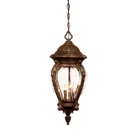 A large image of the Acclaim Lighting 7026 Black Coral